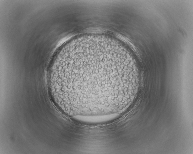 X0000115361404200912151348