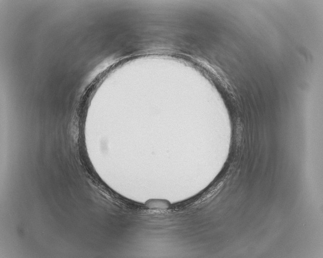 X0000115361406200912151348