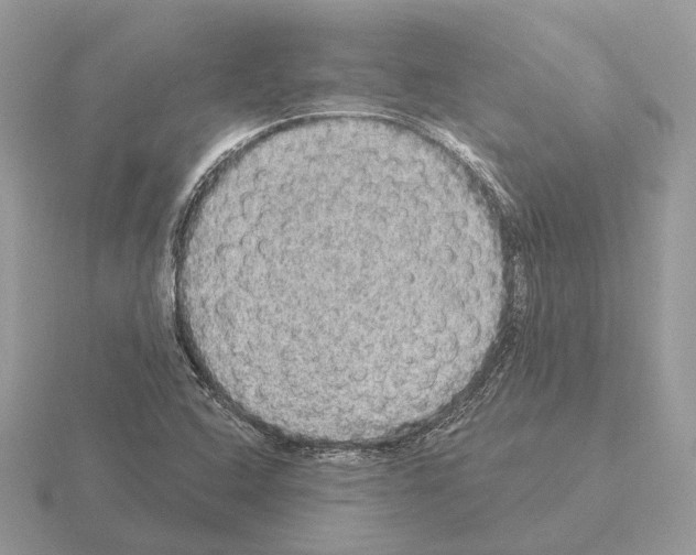 X0000115361408200912151348
