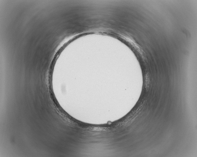 X0000115361412200912151348