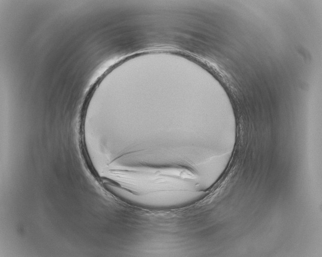 X0000115361422200912151348