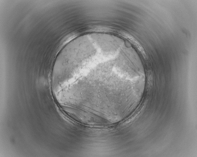 X0000115361425200912151348
