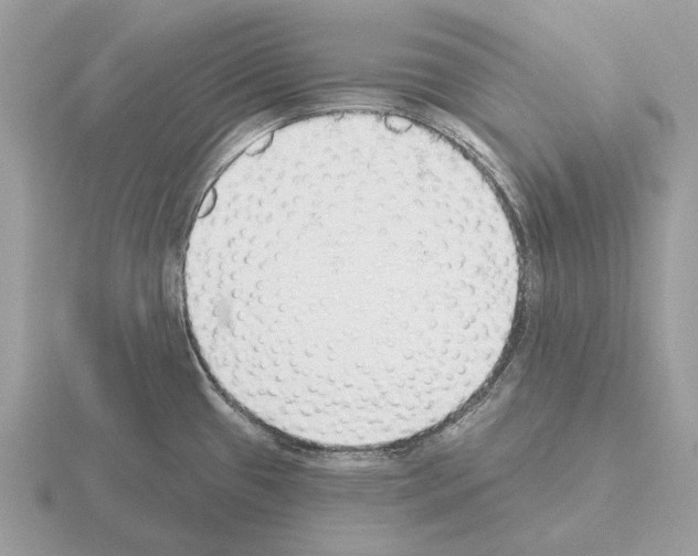 X0000115361433200912151348