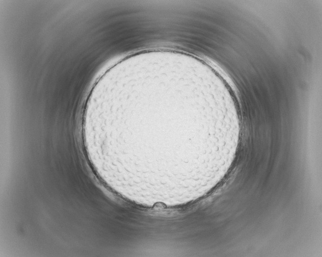 X0000115361437200912151348