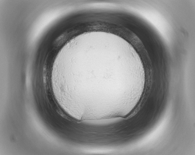 X0000115361438200912151348