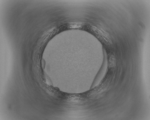 X0000115361441200912151348