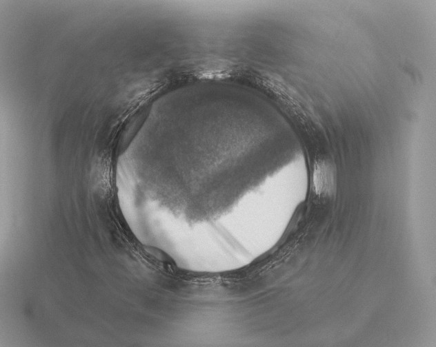 X0000115361444200912151347