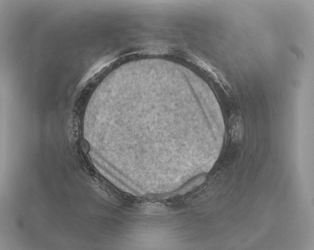 X0000115361448200912151347
