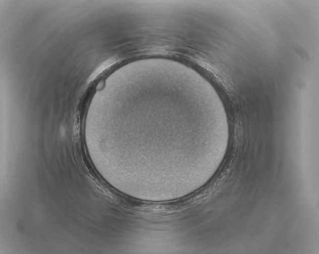 X0000115361450200912151347