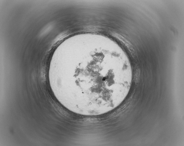 X0000115361451200912151347