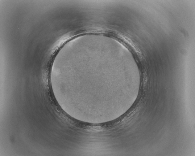 X0000115361455200912151347