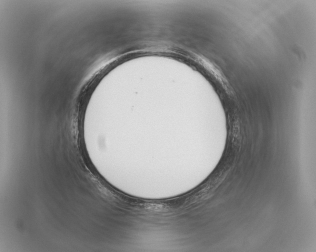 X0000115361456200912151347