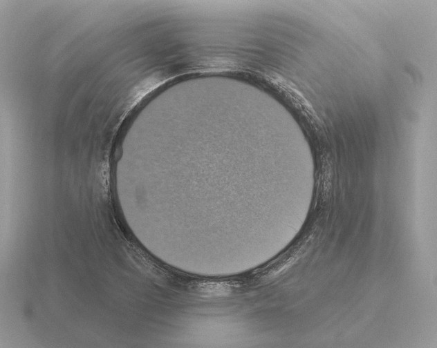 X0000115361457200912151347