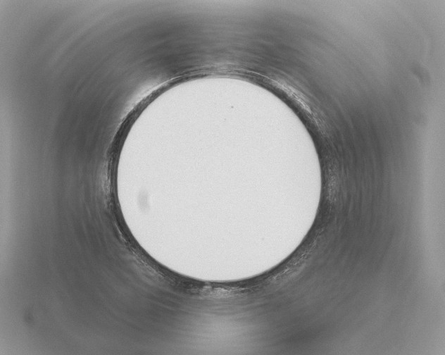 X0000115361458200912151347