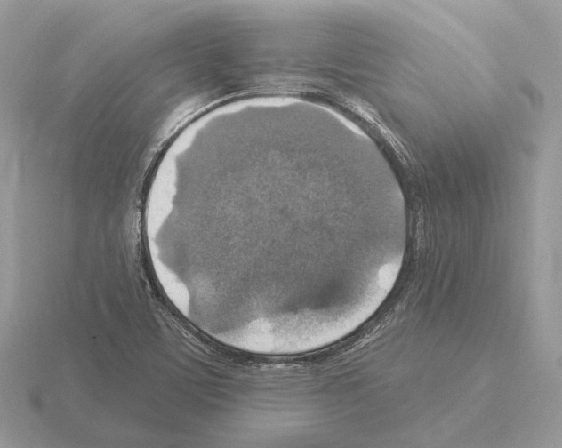 X0000115361459200912151347
