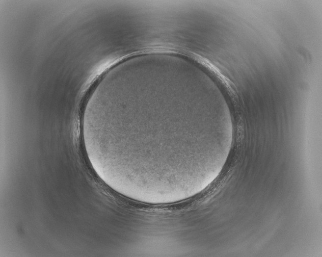 X0000115361461200912151347