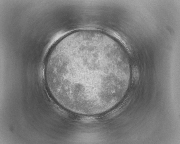 X0000115361462200912151347