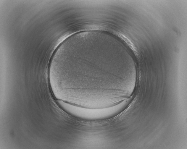 X0000115361465200912151347