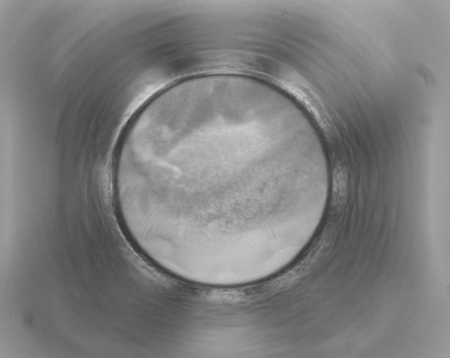 X0000115361466200912151347