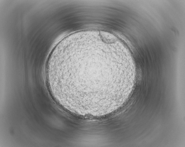 X0000115361467200912151347