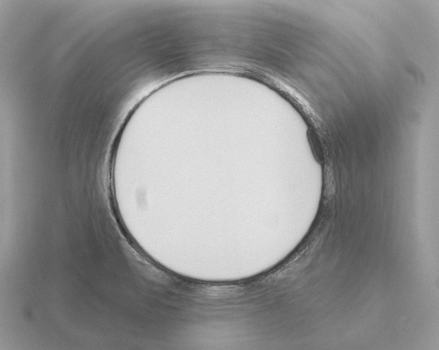 X0000115361471200912151347