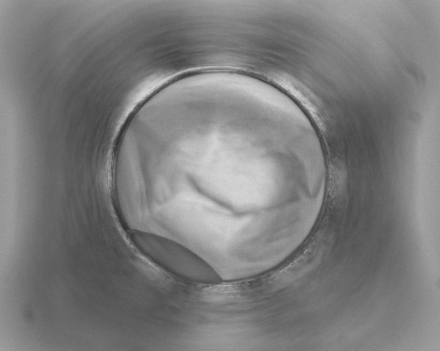X0000115361477200912151347