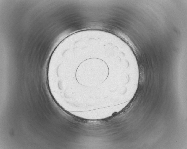 X0000115361483200912151347