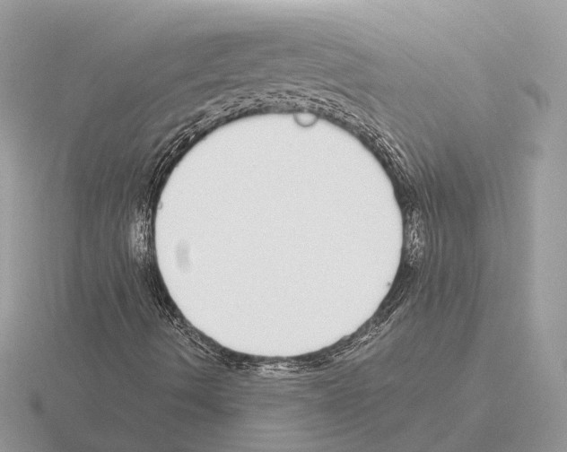 X0000115361490200912151346