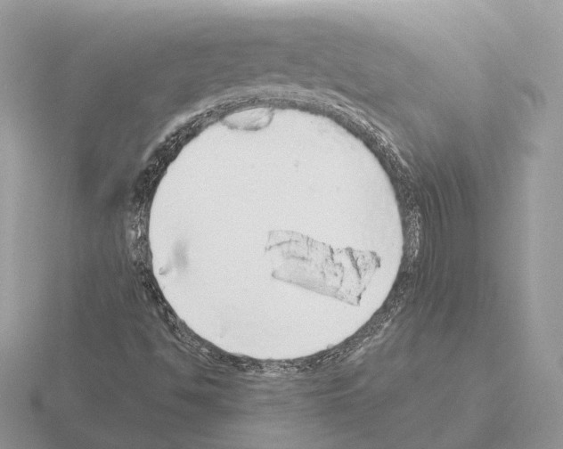 X0000115361494200912151346