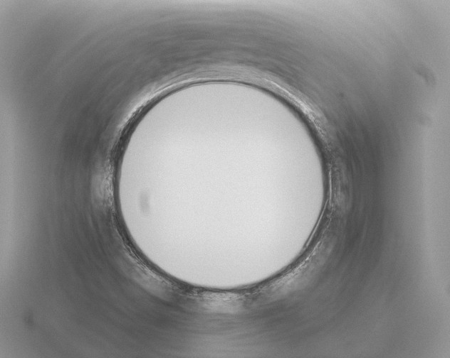 X0000115361498200912151346