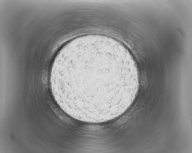 X0000115361499200912151346
