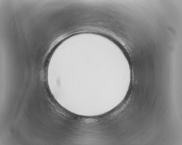 X0000115361501200912151346