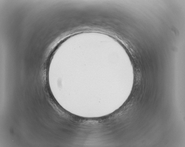 X0000115361503200912151346