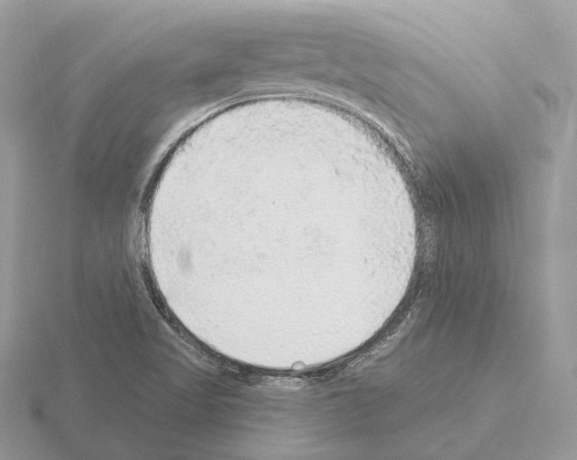 X0000115361509200912151346