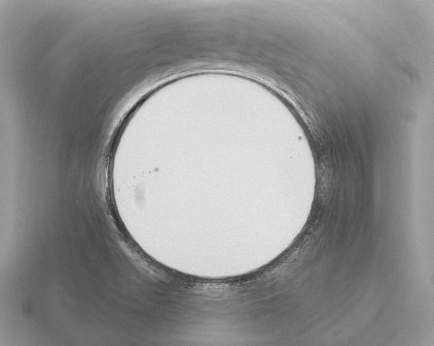 X0000115361511200912151346