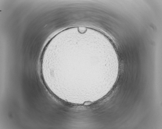 X0000115361517200912151346