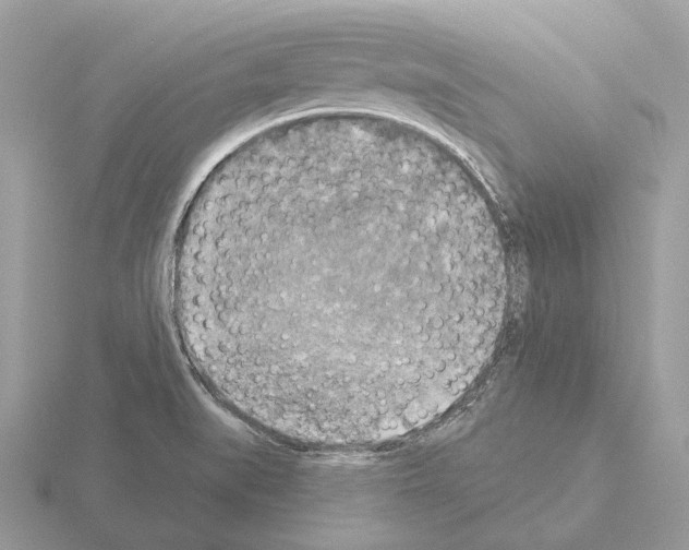 X0000115361519200912151347