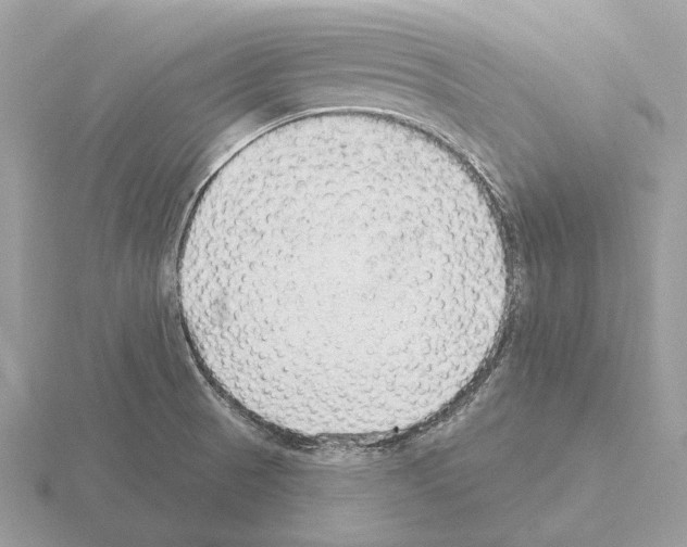 X0000115361521200912151347