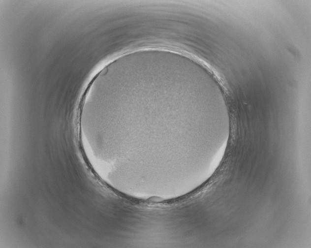 X0000115361522200912151347