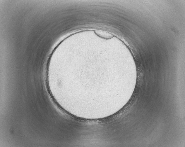 X0000115361523200912151347