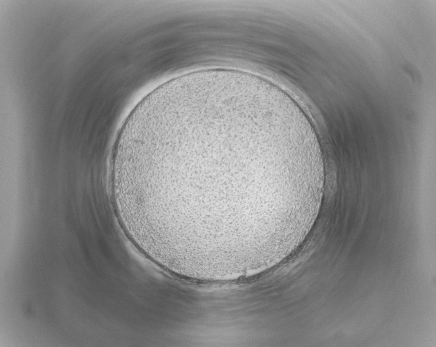 X0000115361535200912151347