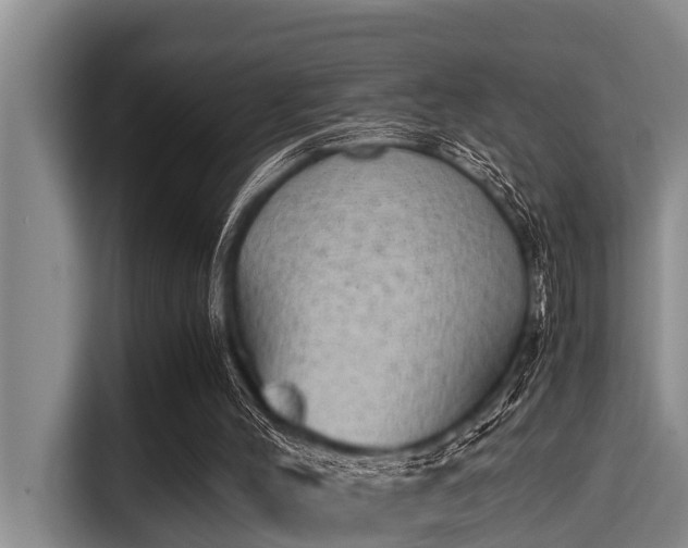 X0000115370004200911101255