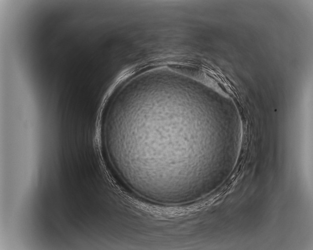 X0000115370006200911101255