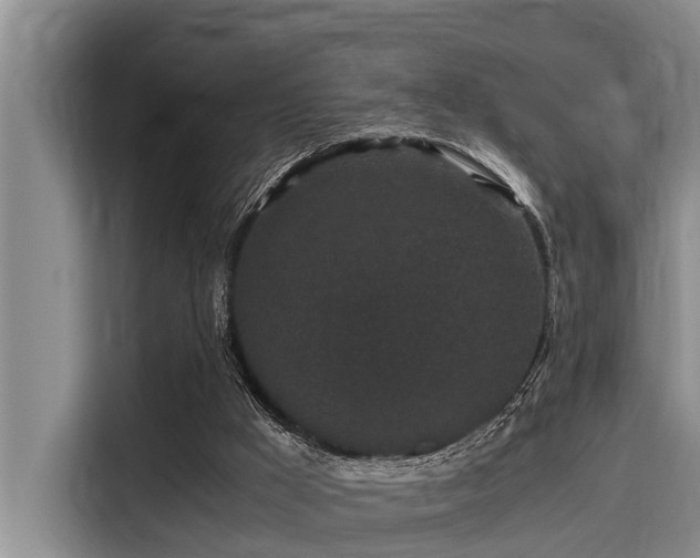 X0000115370009200911101255
