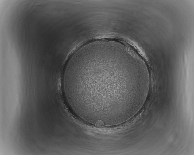 X0000115370010200911101255