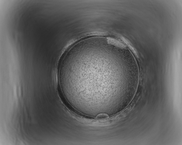 X0000115370011200911101255