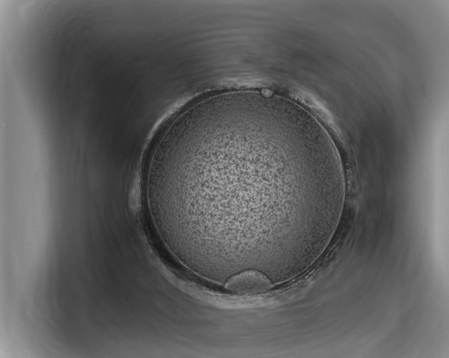X0000115370012200911101255