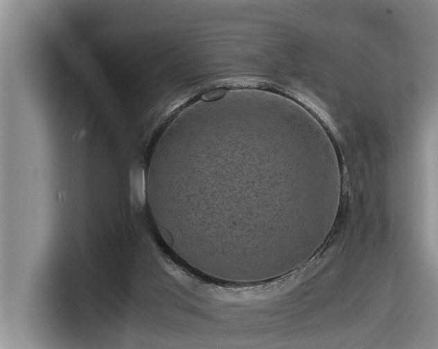X0000115370013200911101255
