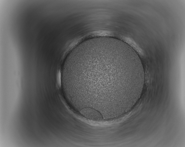 X0000115370014200911101255