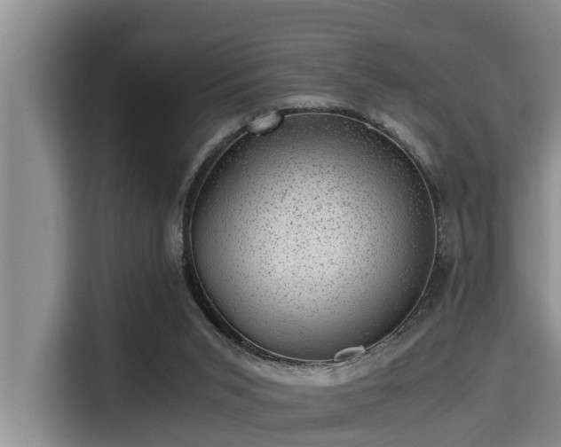 X0000115370015200911101255